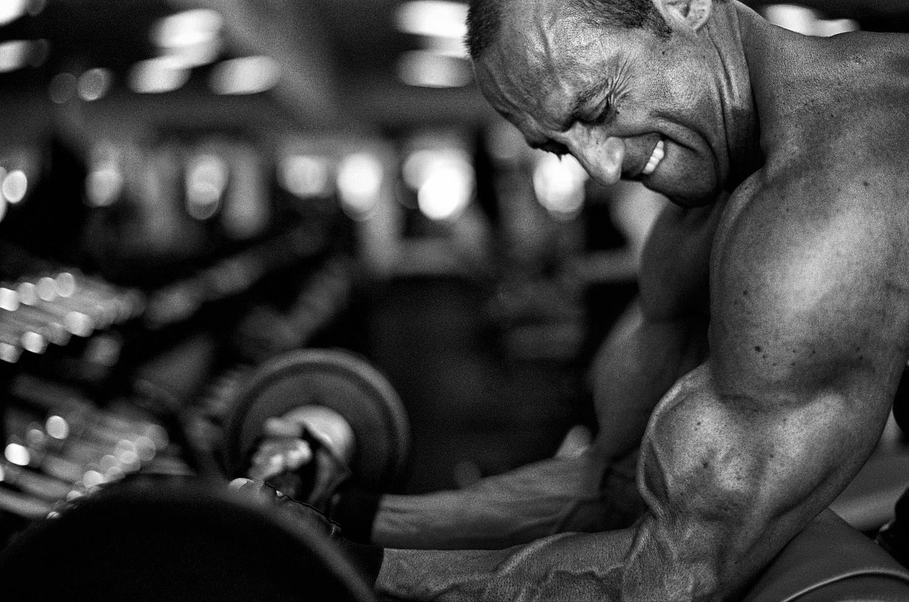 Biceps curl - VI FITNESS - The Most Credible Gym In Seremban 2